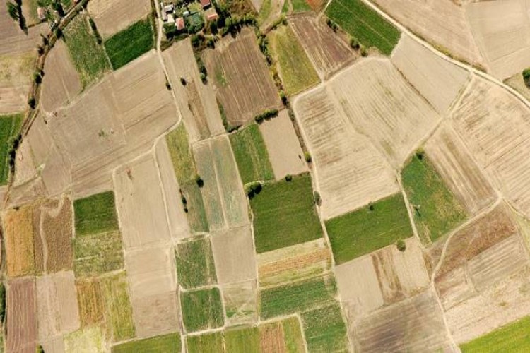Türkiye Tarım ve Orman Bakanlığı ile FAO’dan uzmanlar, Türkiye, Azerbaycan ve Özbekistan’da arazilerin terk edilmesiyle mücadele için gerçekleştirilebilecek ortak çalışmaları ele aldı