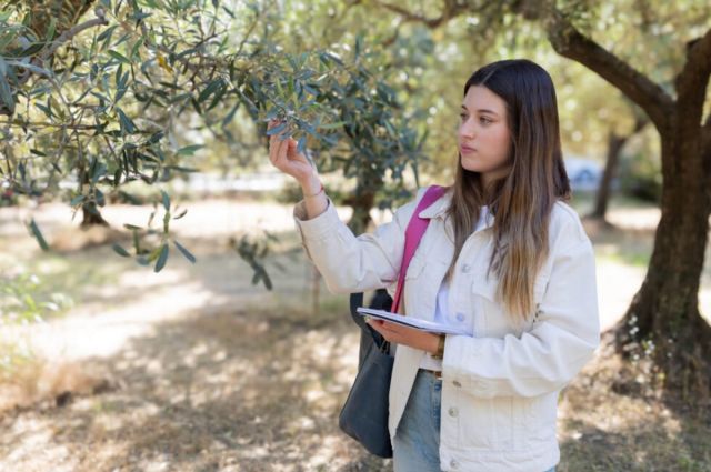 Yaşar Üniversitesi'nden Dijital Tarıma Küresel Katkı: DEEPFARM Projesiyle Zeytin Üretimi Akıllanıyor!
