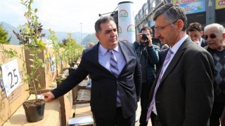 Rize’de 57 Üreticiye 14.250 Likapa (Maviyemiş) Fidanı Dağıtıldı