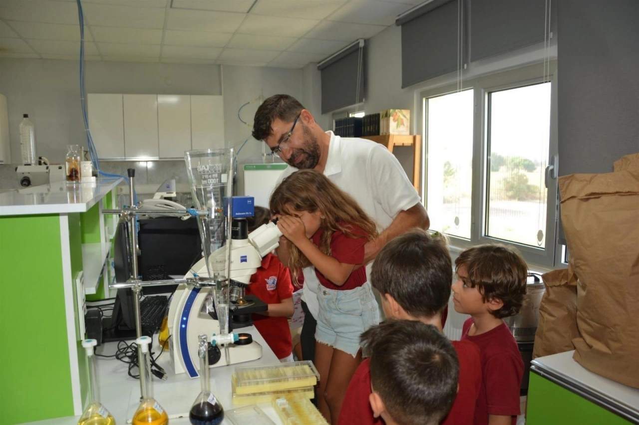 İlkokul öğrencilerinden oluşan “Tekno Edremit” takımı, geliştirdiği projede ayva çekirdeklerinden yararlandı. Çalışmada farklı doğal ürünler bir arada değerlendirildi.