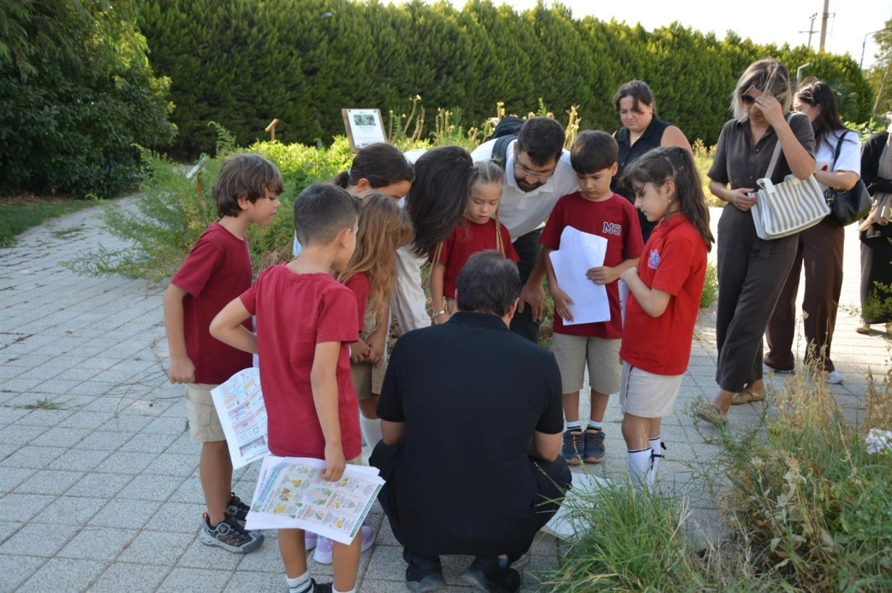 “Sıvı Eldiven” projesinin doğal bileşenleri arasında Kazdağları’nın çam reçinesi de bulunuyor. Takım, farklı doğal kaynakları proje kapsamında değerlendirdi.