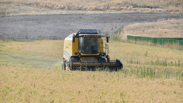 ABB'nin yüzde 50 hibeli nohut desteğinde hasat başladı