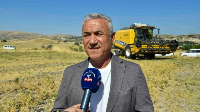 ABB'nin yüzde 50 hibeli nohut desteğinde hasat başladı — Fotoğraf 5