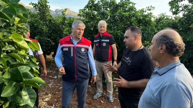Adana’da Dolu Sonrası Tarım Alanlarında Hasar Tespiti
