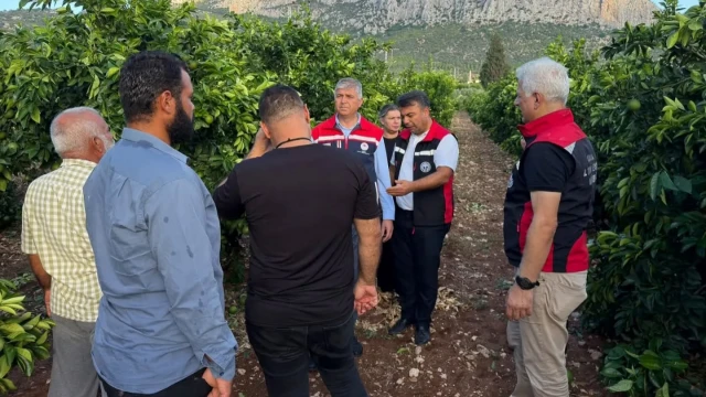 Adana’da Dolu Sonrası Tarım Alanlarında Hasar Tespiti — Fotoğraf 1