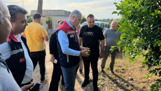 Adana’da Dolu Sonrası Tarım Alanlarında Hasar Tespiti — Fotoğraf 2