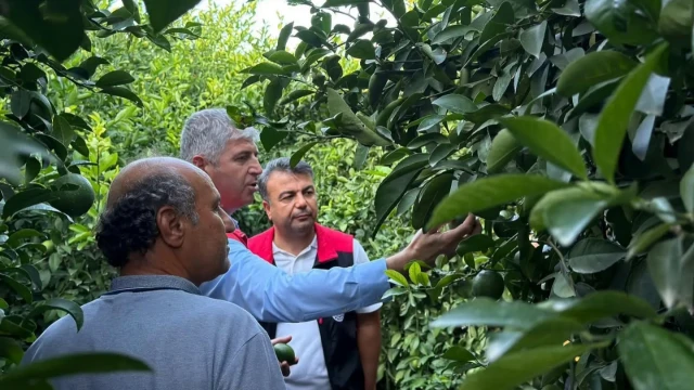Adana’da Dolu Sonrası Tarım Alanlarında Hasar Tespiti — Fotoğraf 6