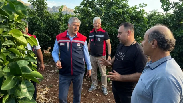 Adana’da Dolu Sonrası Tarım Alanlarında Hasar Tespiti — Fotoğraf 8