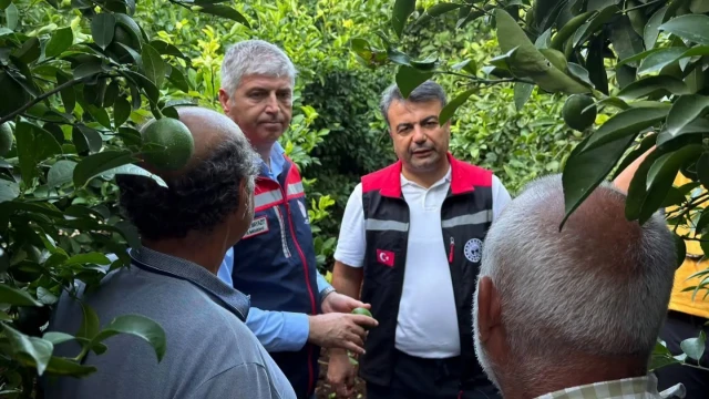 Adana’da Dolu Sonrası Tarım Alanlarında Hasar Tespiti — Fotoğraf 9