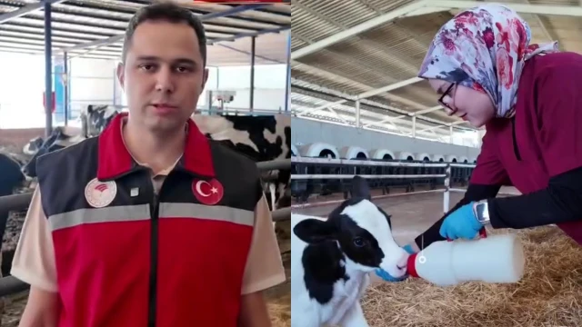 Adnan Büyükvural: Ağız sütünde Brix değeri önemli