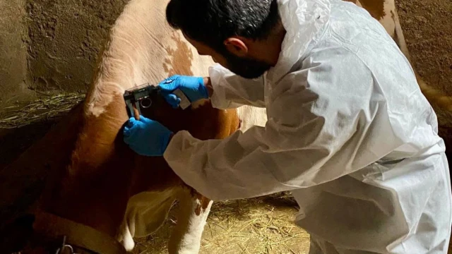 Afyonkarahisar’da Hayvan Sağlığı İçin Denetimler Sürüyor — Fotoğraf 1