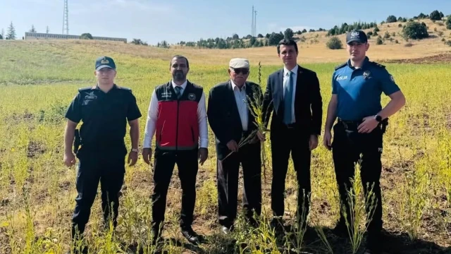 Akören’de Susam Üretimi ve Tahin Süreci İncelendi — Fotoğraf 2