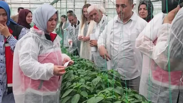 Aksu’da Biyolojik Mücadele İçin 380 Tuzak Dağıtıldı — Fotoğraf 4
