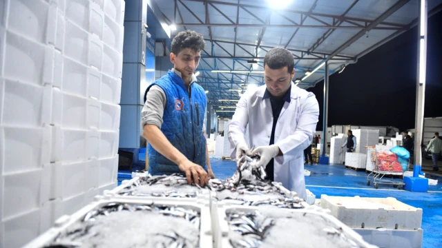 Ankara’da Yeni Balık Sezonuyla Denetimler Artırıldı