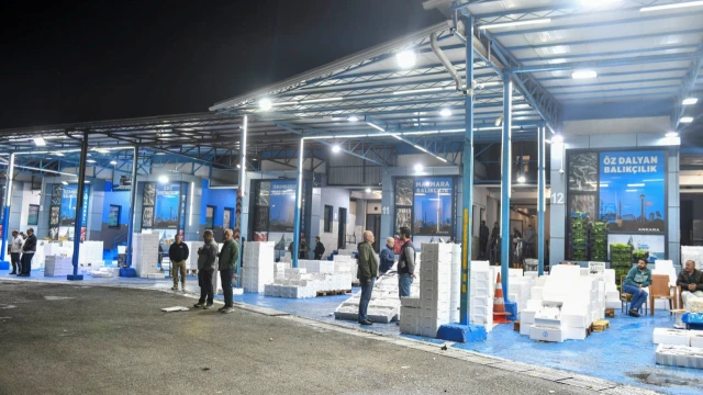 Ankara’da Yeni Balık Sezonuyla Denetimler Artırıldı — Fotoğraf 2