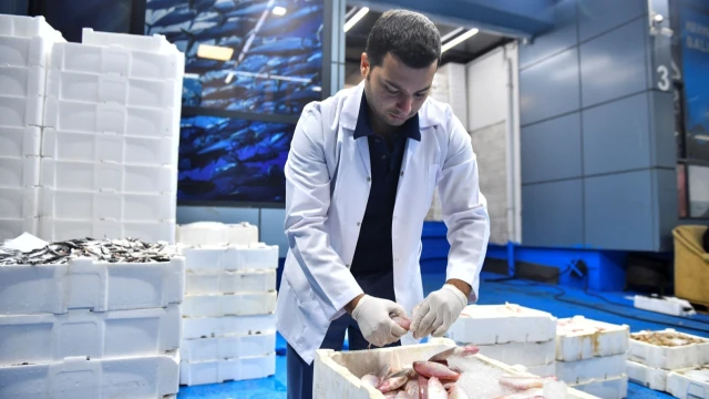 Ankara’da Yeni Balık Sezonuyla Denetimler Artırıldı — Fotoğraf 4