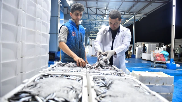 Ankara’da Yeni Balık Sezonuyla Denetimler Artırıldı — Fotoğraf 5
