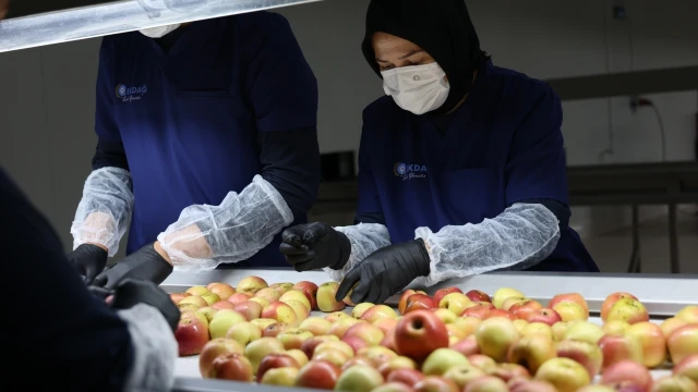 Antalya’da Üretici İçin Kurutma Tesisi Devreye Girdi