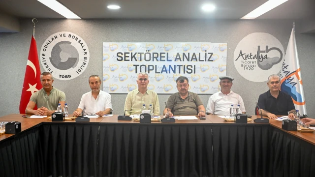 Antalya’da zeytinde yüzde 40 rekolte artışı bekleniyor