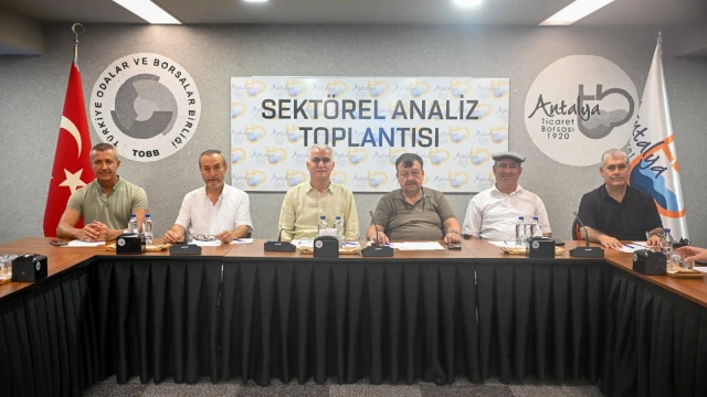 Antalya’da zeytinde yüzde 40 rekolte artışı bekleniyor — Fotoğraf 1