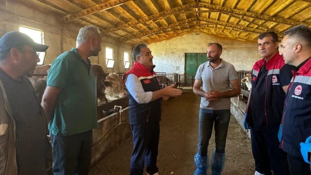 Artvin’de Sonbahar Dönemi Şap Aşılama Kampanyası Başladı — Fotoğraf 2