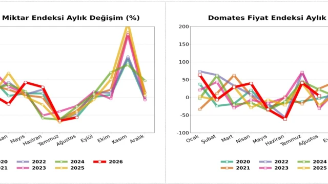 ATB Ağustos hal endeksi: Domates miktarı yüzde 56,70 azaldı — Fotoğraf 2