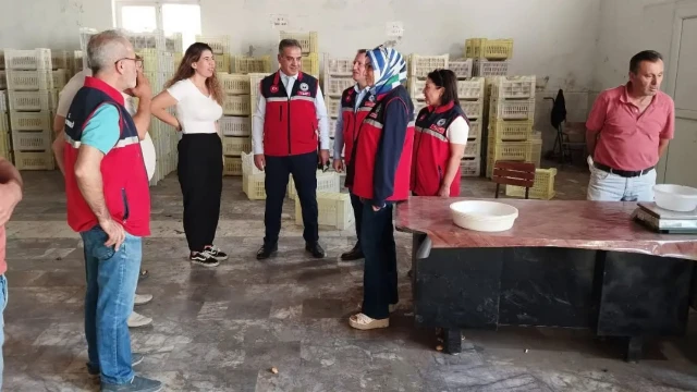 Aydın İncirinin Kalitesi İçin Saha Denetimleri Sürüyor — Fotoğraf 1