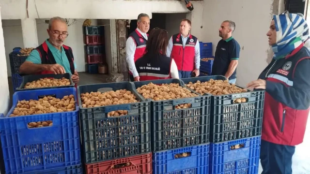 Aydın İncirinin Kalitesi İçin Saha Denetimleri Sürüyor — Fotoğraf 2