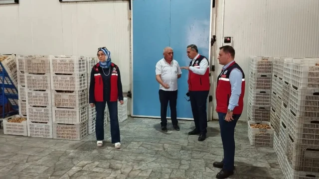 Aydın İncirinin Kalitesi İçin Saha Denetimleri Sürüyor — Fotoğraf 3