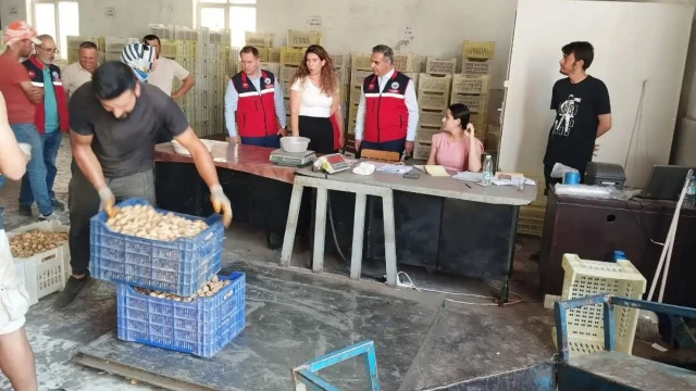 Aydın İncirinin Kalitesi İçin Saha Denetimleri Sürüyor — Fotoğraf 6