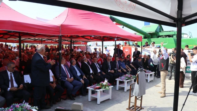 Bafra’da Türkiye’nin İlk Çeltik Ağası Belli Oldu — Fotoğraf 2