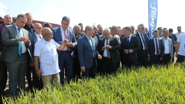 Bafra’da Türkiye’nin İlk Çeltik Ağası Belli Oldu — Fotoğraf 5