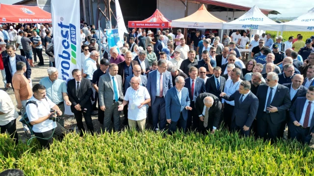Bafra’da Türkiye’nin İlk Çeltik Ağası Belli Oldu — Fotoğraf 11