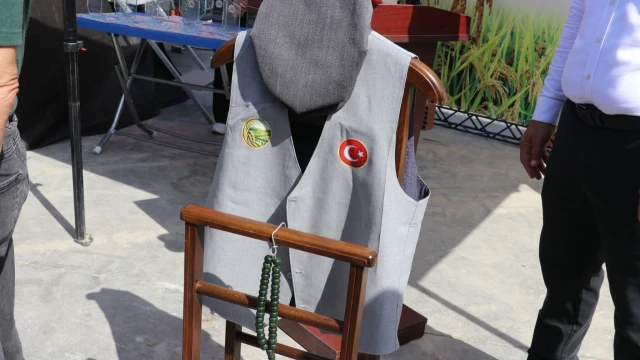 Bafra’da Türkiye’nin İlk Çeltik Ağası Belli Oldu — Fotoğraf 15