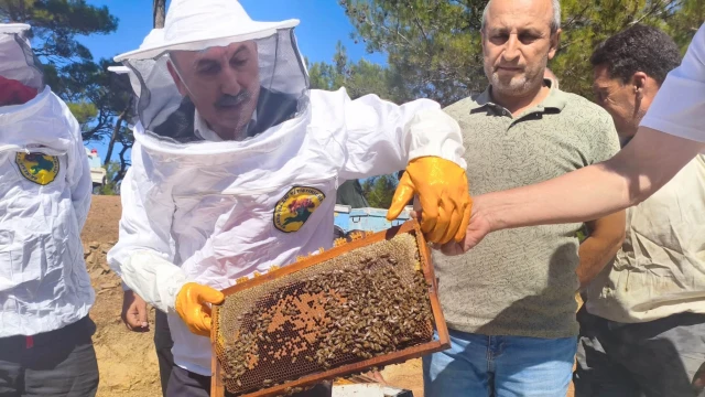 Balıkesir İl Tarım Müdürü Düzgün Havran’da bal sağdı