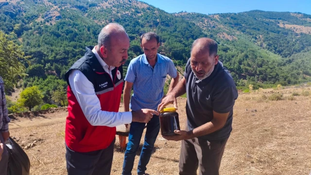 Balıkesir İl Tarım Müdürü Düzgün Havran’da bal sağdı — Fotoğraf 3