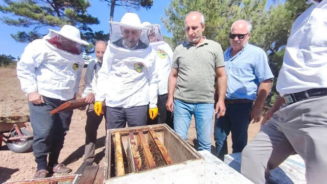 Balıkesir İl Tarım Müdürü Düzgün Havran’da bal sağdı — Fotoğraf 5