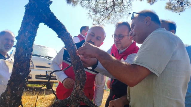 Balıkesir İl Tarım Müdürü Düzgün Havran’da bal sağdı — Fotoğraf 7