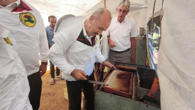 Balıkesir İl Tarım Müdürü Düzgün Havran’da bal sağdı — Fotoğraf 11