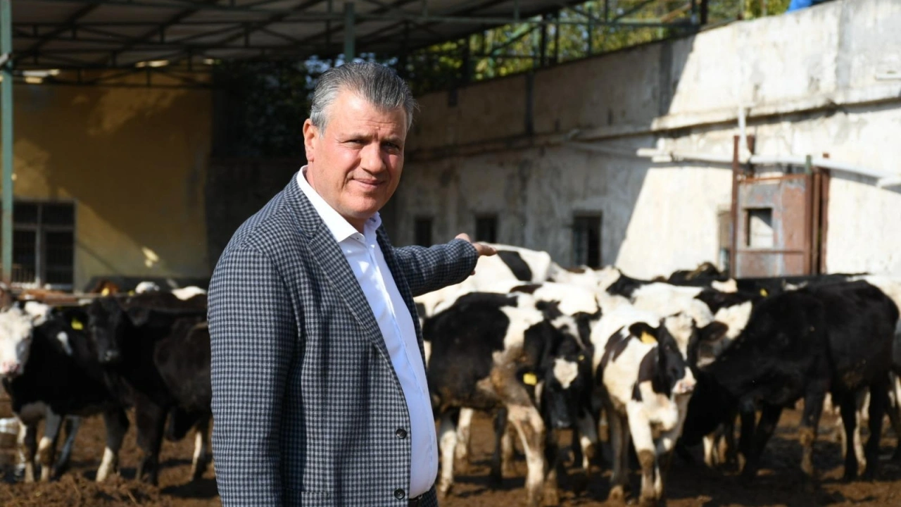 Barut: 480 Bin Baş Sığır İthalatından Vazgeçilsin