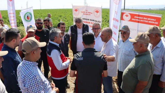 Besni’de Pamuk Üretiminde Çiftçi Tarla Okulu Düzenlendi — Fotoğraf 3