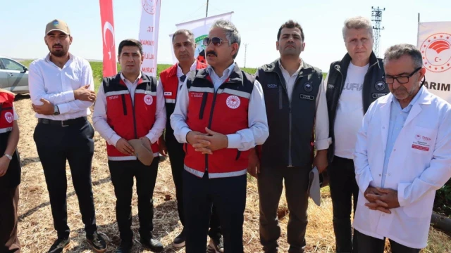 Besni’de Pamuk Üretiminde Çiftçi Tarla Okulu Düzenlendi — Fotoğraf 6