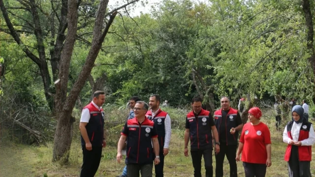 Bolu’da Orman Meyveleri Doğadan Ekonomiye Kazandırılıyor — Fotoğraf 2