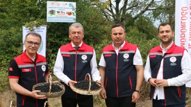 Bolu’da Orman Meyveleri Doğadan Ekonomiye Kazandırılıyor — Fotoğraf 3