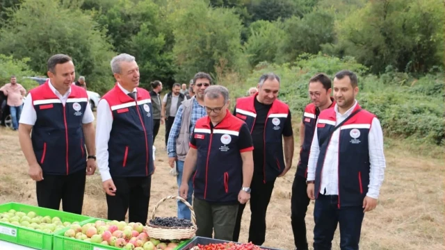 Bolu’da Orman Meyveleri Doğadan Ekonomiye Kazandırılıyor — Fotoğraf 5