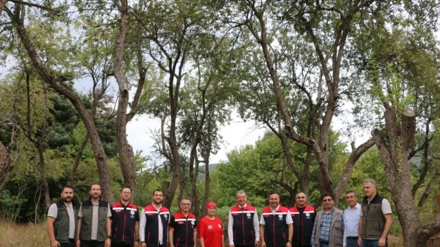 Bolu’da Orman Meyveleri Doğadan Ekonomiye Kazandırılıyor — Fotoğraf 7