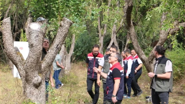 Bolu’da Orman Meyveleri Doğadan Ekonomiye Kazandırılıyor — Fotoğraf 10