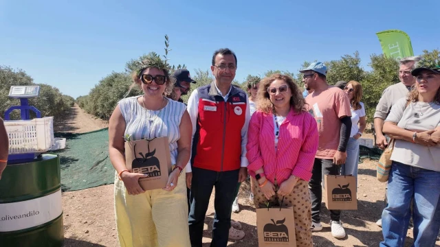 Bozcaada’da Zeytin Hasadında Makine Dönemi Başladı — Fotoğraf 2