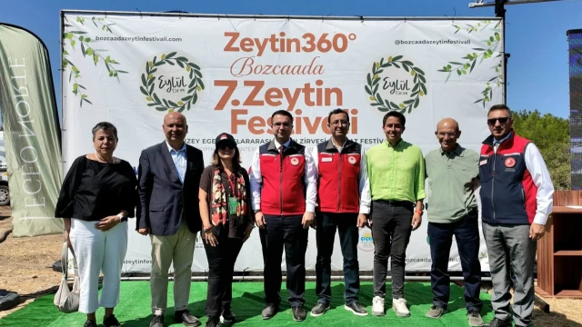 Bozcaada’da Zeytin Hasadında Makine Dönemi Başladı — Fotoğraf 5
