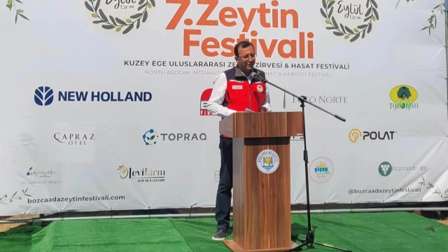 Bozcaada’da Zeytin Hasadında Makine Dönemi Başladı — Fotoğraf 7